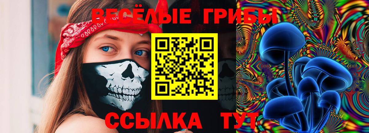 Гулькевичи  Галлюциногенные грибы MAGIC MUSHROOMS  Вход с VPN 